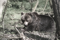 Killikus&reg; Fotographie